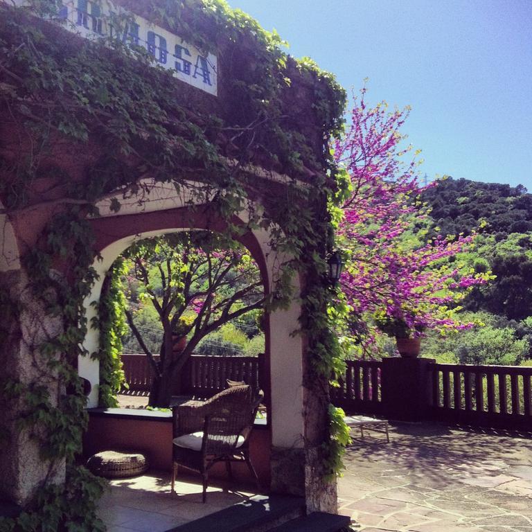 Masia Vista Hermosa Vallromanes Exteriör bild