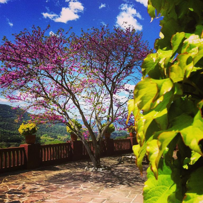 Masia Vista Hermosa Vallromanes Exteriör bild