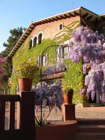 Masia Vista Hermosa Vallromanes Exteriör bild